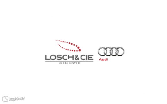 Audi Losch & Cie