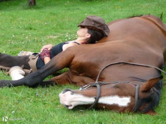Horsemanship a Reittherapie